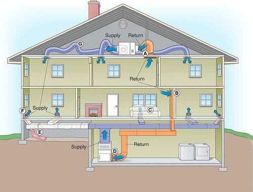 Basement Mold Removal